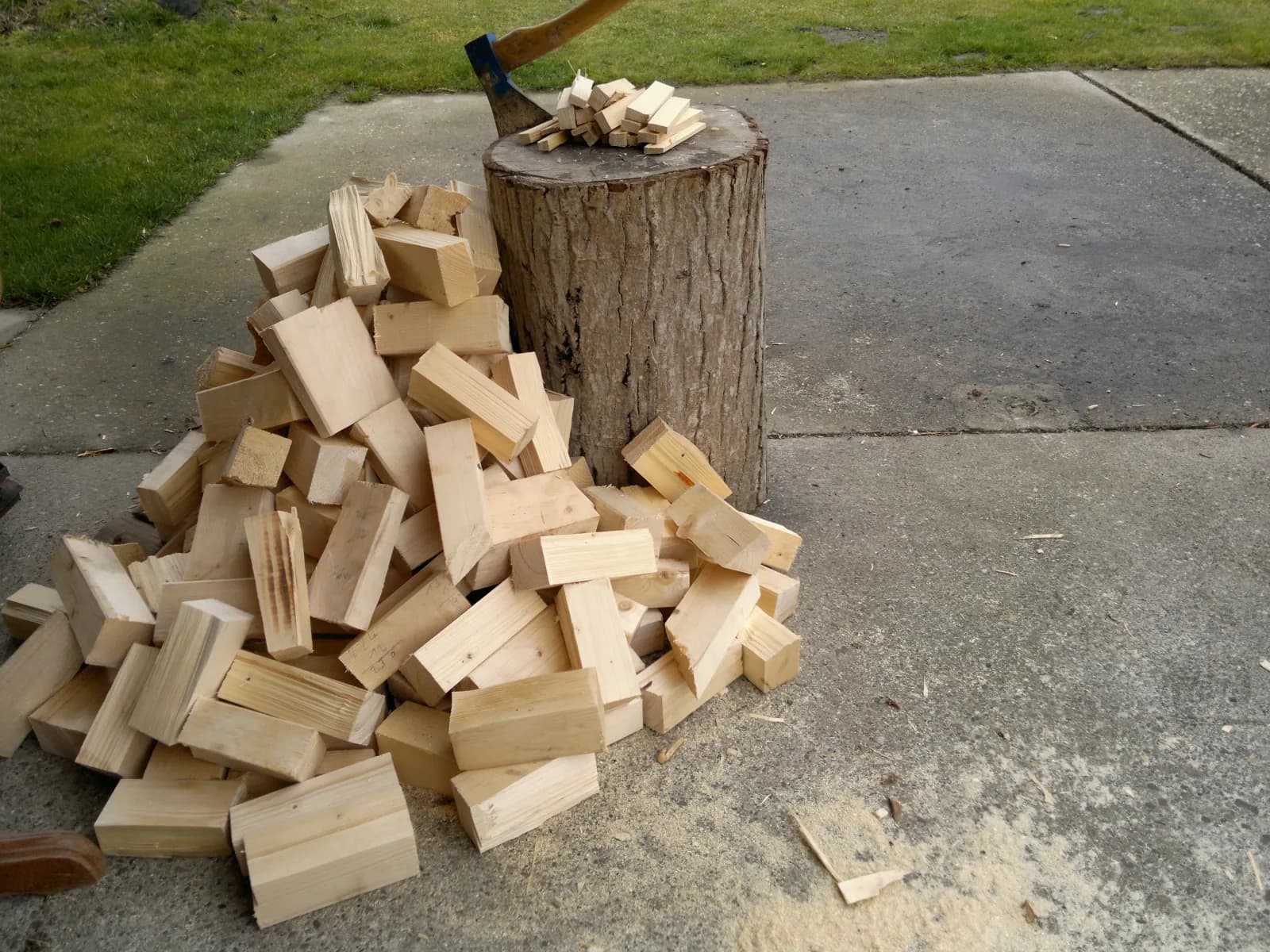 Hauklotz, Nagelbaum & Baumscheiben